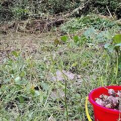 【合気道】上大山道場5周年記念稽古会など - その他