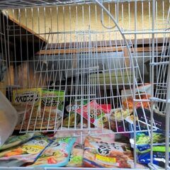 犬、猫のゲージの画像
