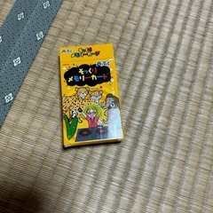 そっくりメモリーカード🔹説明書付き