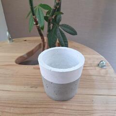 セメント植木鉢_ハンドメイド