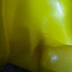バンボの画像