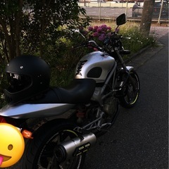 VTR250