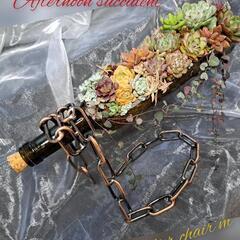 多肉植物寄せ植え教室の画像