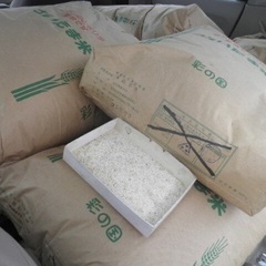 餌としてどうですか。くず米精米済砕米180kg以上。虫います。の画像