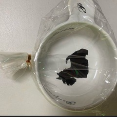 本日午前中取り引き限定✨新品未使用品✨可愛い犬、猫柄のお皿❣️2...
