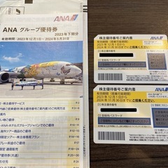 ANA株主優待券2枚（2024年11月末〆）