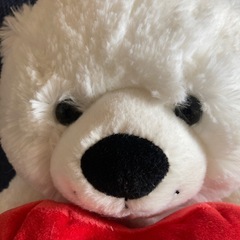 かわいいクマの画像