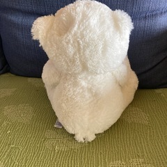 かわいいクマの画像
