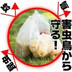 新品❤保護ネット 防虫 巾着袋 害虫 鳥よけ 25cm × 16cm 25枚の画像