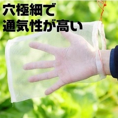新品❤保護ネット 防虫 巾着袋 害虫 鳥よけ 25cm × 16cm 25枚の画像