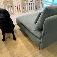 IKEA ソーデルハムン 4人掛けソファ 寝椅子付き ターコイズブルーの画像