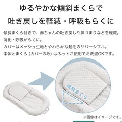 折り畳み　ベッドインベッド（美品）の画像