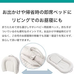折り畳み　ベッドインベッド（美品）の画像