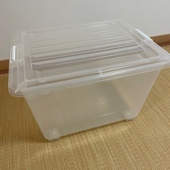 【決まりました】衣装収納ケース