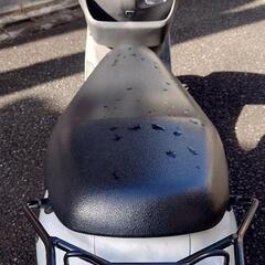 アドレス V125 K9 ホワイト 実動  の画像
