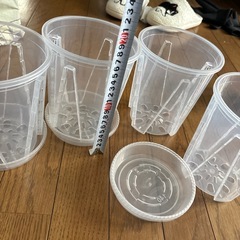 透明　　　　スリット鉢の画像