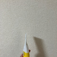 ピュアレーンの画像