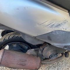 ススギ　の画像