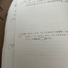 早稲田アカデミー　四谷大塚　予習シリーズ　夏期講習　算数　6年の画像