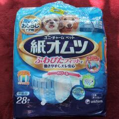 高齢犬紙オムツ
