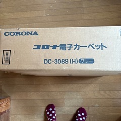 ホットカーペットの画像