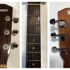 天)【現状品】37. MORRIS　ギター　F-251の画像