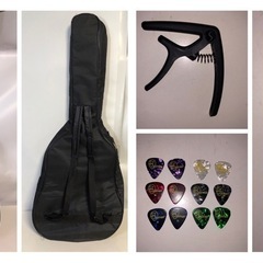 天)【現状品】37. MORRIS　ギター　F-251の画像