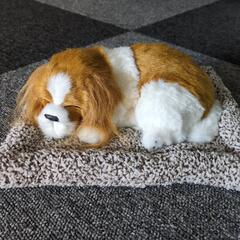 消臭剤わんちゃん
