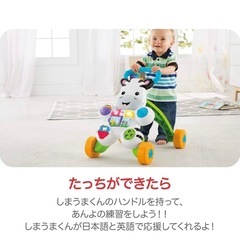fisher price しまうまくんのバイリンガルウォーカーの画像