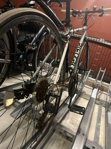 クロスバイク　早いもの勝ち‼️