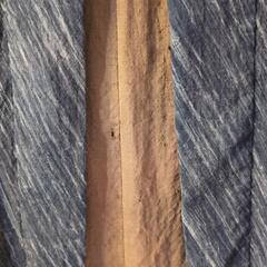 👘　紳士用長襦袢　👘の画像