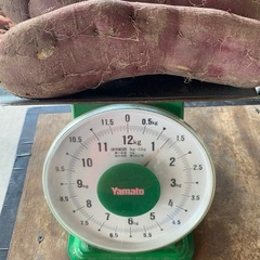 11/22掲載終了　🍠さつまいも【紅あずま】の画像