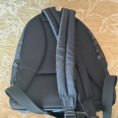 マンハッタンポテージの画像