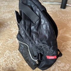 マンハッタンポテージの画像