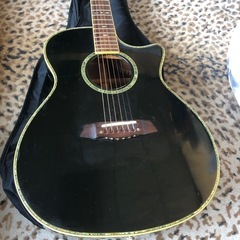 明日掲載終了　最終値下げ　LANDSCAPE SPT-ELITE Sound Port Technologyの画像