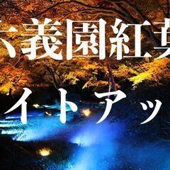 11/24【六義園の紅葉ライトアップ🍁】幻想的な秋の夜を楽しむ特...