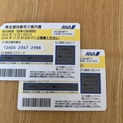 ANA グループ優待券 2024年上期分
