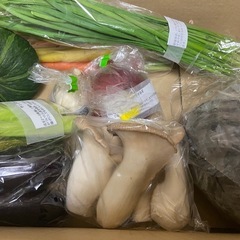 21日木曜18~19時前後【引取希望】野菜他