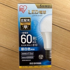 電気の球