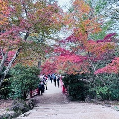 12/8(日)年内登り納め。宮島弥山登山＆ごみ拾い - 廿日市市