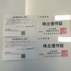 大井競馬場　株主優待証　2枚