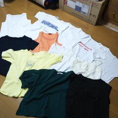 レディース Mサイズ Tシャツやインナー 13点