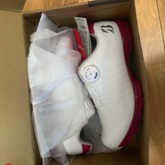 ゴルフシューズ　レディース　24.5cmの画像