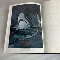 k1119603 【白土三平】 豪華愛蔵版カムイ伝 全4巻セット 函付 初版  コレクション  函入 1988年重版 小学館 B5判 中古品 現状品の画像