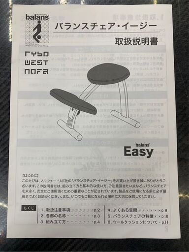 バランスチェア イージー カバー、説明書付き 家具 イス チェア 美容 健康 姿勢矯正　BLANCE　EASY　RYBO　リボ
