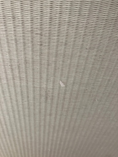 置き畳　美草　9枚セット