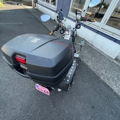 ハイガーミニアメリカン
の画像