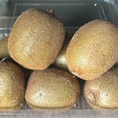 🥝キウイ🥝家庭用