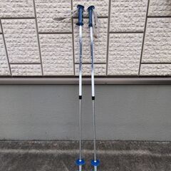 ジュニアスキー3点セット　スキー板130cm  ブーツ22cm  伸縮式ストック75～105cmの画像