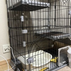キャットゲージ 猫用品付きの画像